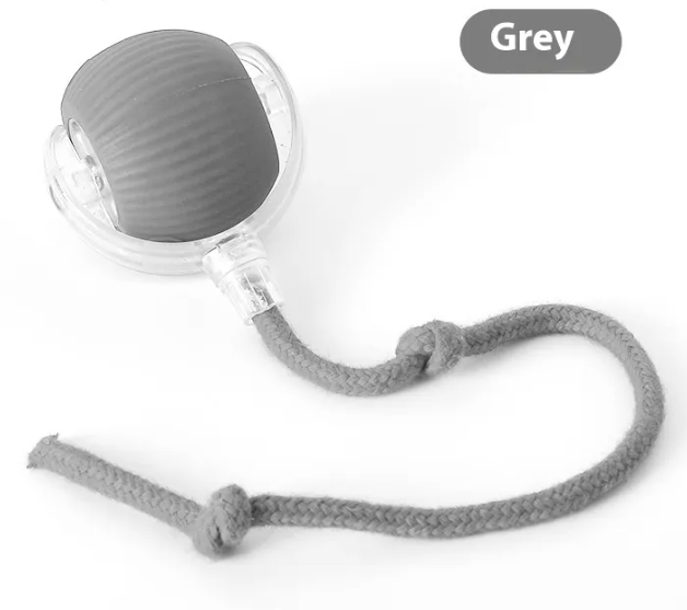 Petora99 Interactive Cat Toy — Solo Play for Bored Indoor Cats