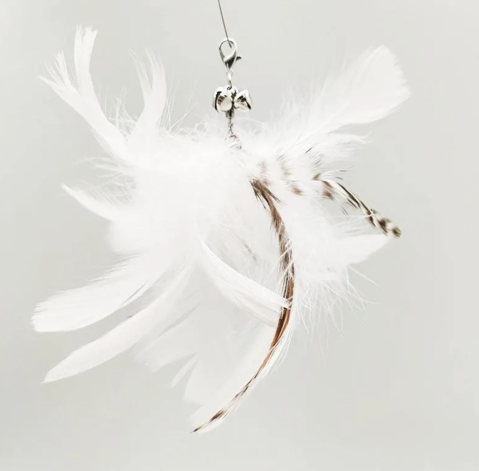 Petora99 Feather Teaser Wand — Interactive Chase & Exercise Toy