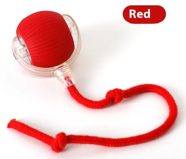 Petora99 Interactive Cat Toy — Solo Play for Bored Indoor Cats