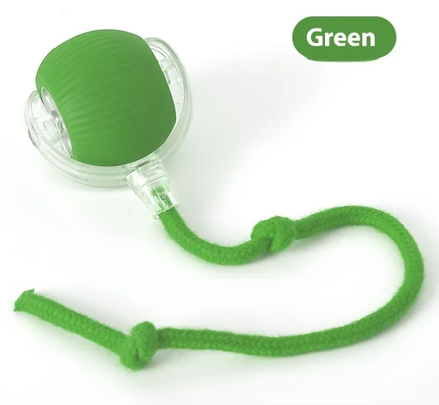 Petora99 Interactive Cat Toy — Solo Play for Bored Indoor Cats