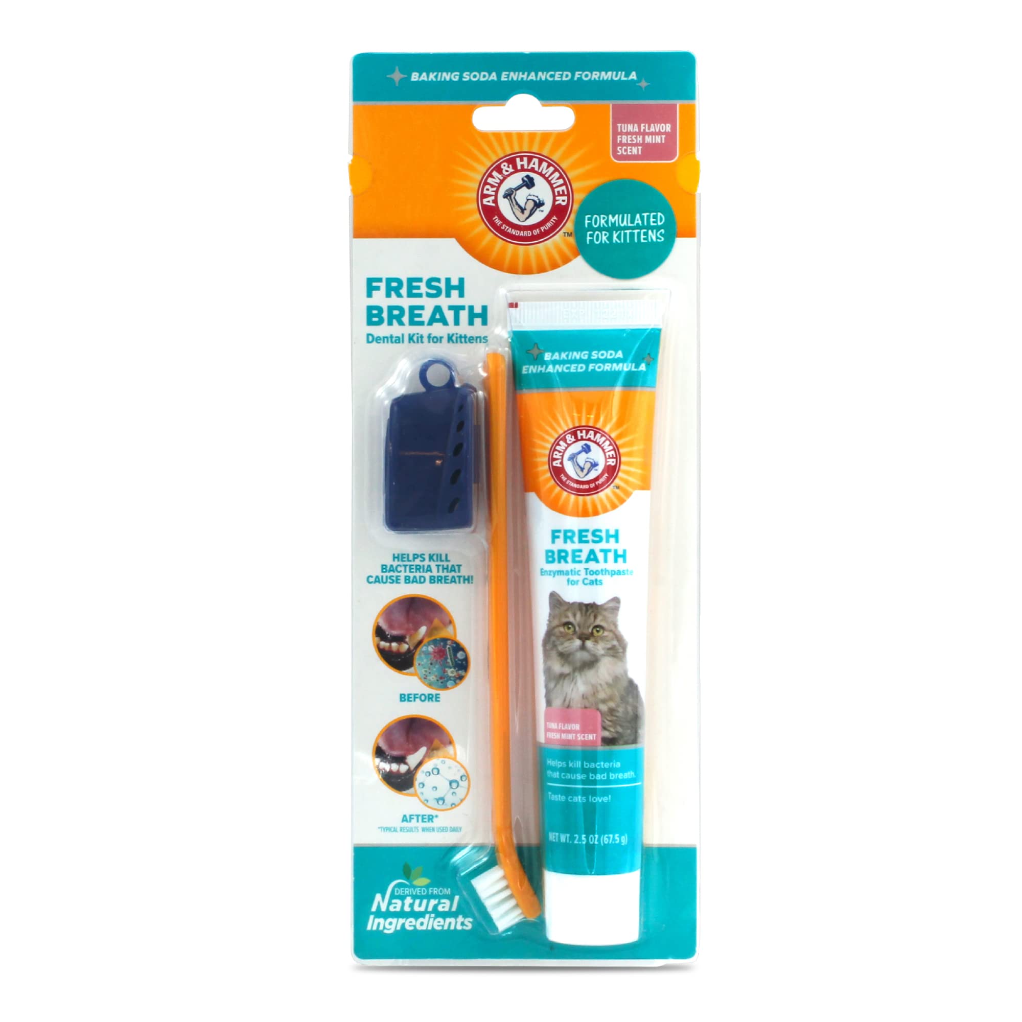 Petora99 Cat Dental Care Kit — Toothbrush & Toothpaste Set