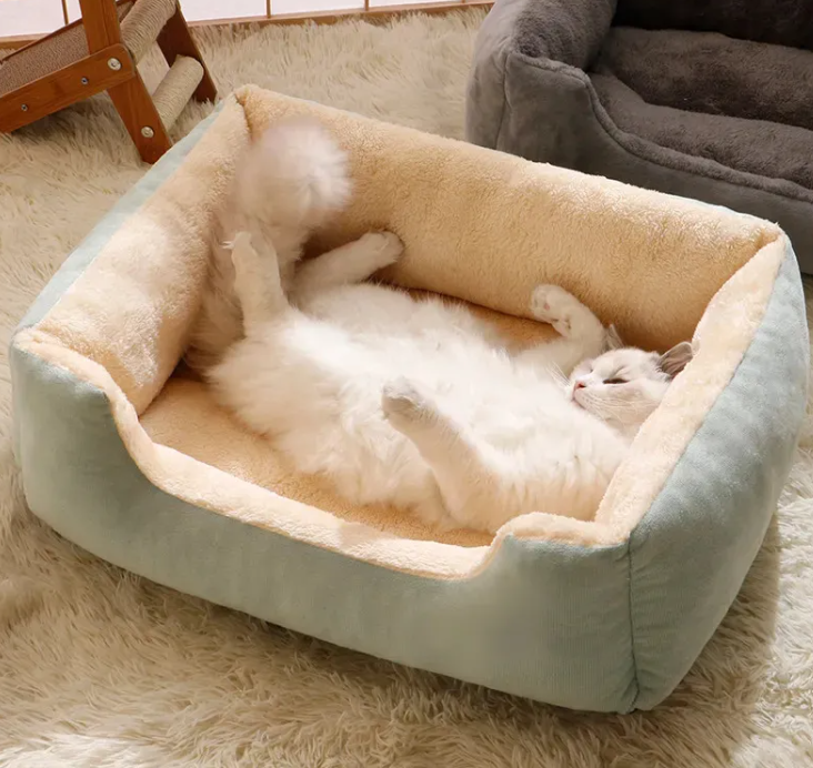 Petora99 All-in-One Cat Bed — Cozy Multi-Style Sleeper